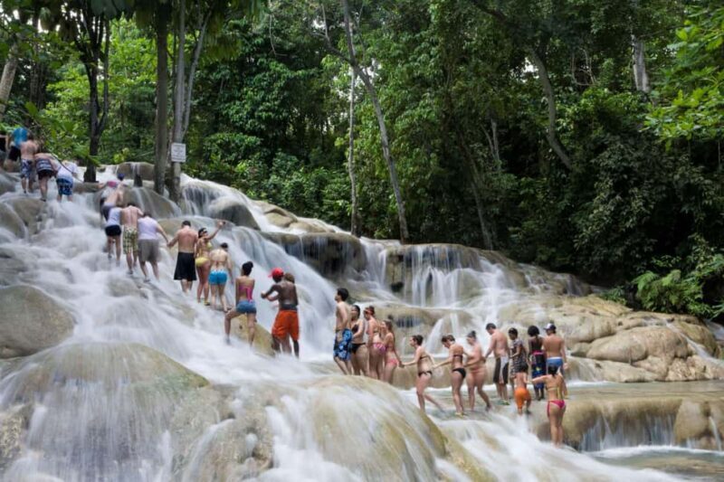 Ocho Rios: Dunns River Falls & Reggae Hill Tour - Who Would Love This Tour?