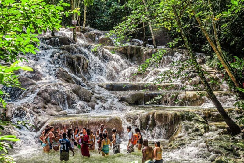 Ocho Rios: Dunn's River Falls Tour - Why This Tour Stands Out