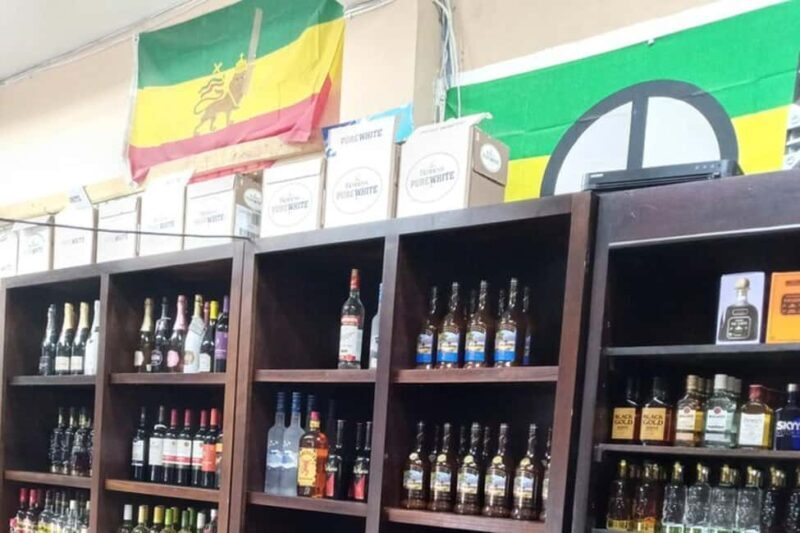 Ocho Rios: Duty-Free and Local Shopping Tour - Who Is This Tour Best For?