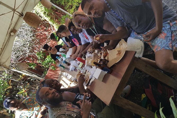 Ocho Rios For A Day / Private Customizable Tours / Jamaica Dream Vacation - A Detailed Look at the Experience