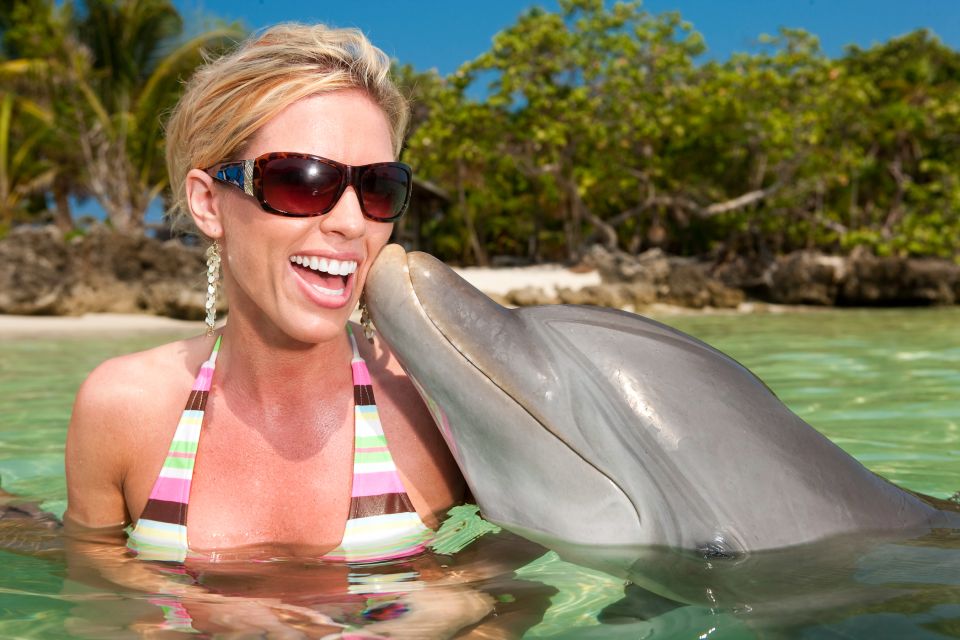 Ocho Rios: Full-Day at Dolphin Cove & Swim With the Dolphins - Key Points