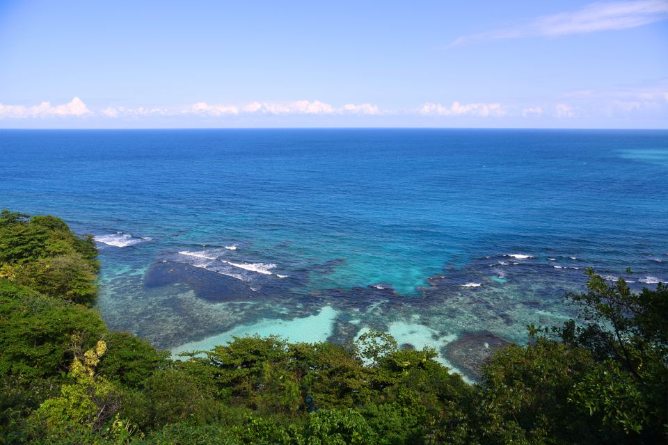 Ocho Rios: Full-Day at Dolphin Cove & Swim With the Dolphins - Swim and Interact With Dolphins