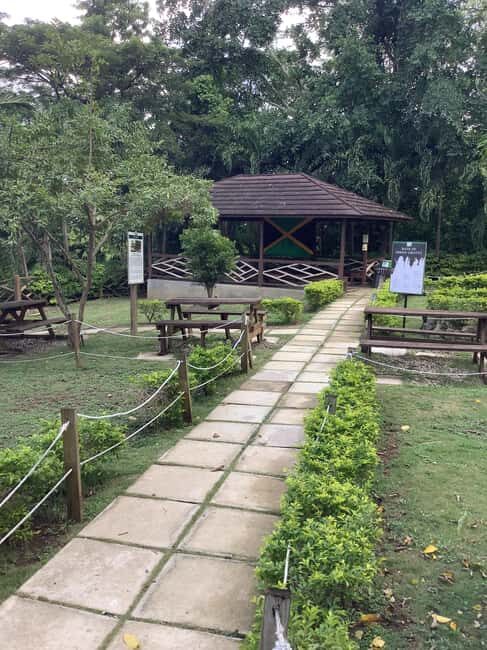 Ocho Rios: Green Grotto Caves Guided Tour with Transfers - FAQ