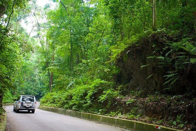 Ocho Rios Highlights and Shopping Tour - Key Points