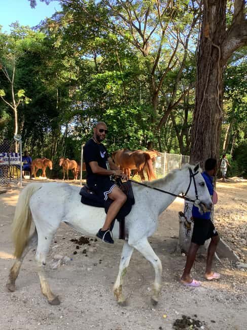 Ocho Rios: Horseback Riding and Dunn's River Falls Tour - Key Points
