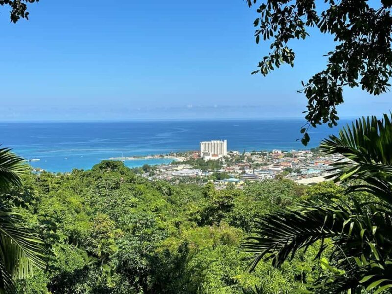 Ocho Rios: Konoko Falls, Fern Gully, and Shopping Tour - Shopping at Taj Mahal Center