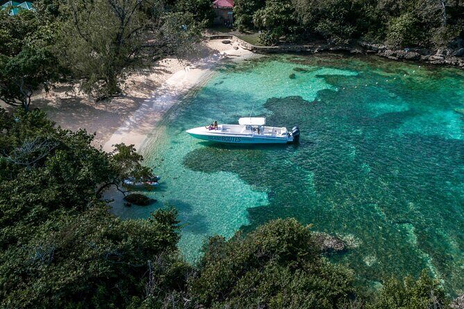 Ocho Rios Powerboat & Dunns River Falls Adventure - Who Would Enjoy This Tour?