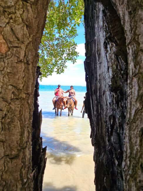 Ocho Rios: Scenic Horseback Riding Adventure - The Practical Details: What You Need to Know