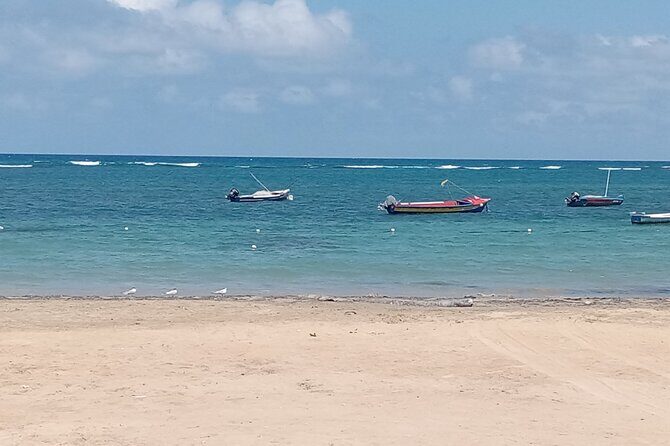 Ocho Rios Scenic Views, Culture and Adventure - Final Thoughts: Is This Tour Right for You?