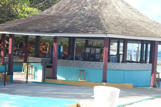Ocho Rios Shore Excursion: Private Snorkel Tour - Meeting and Pickup