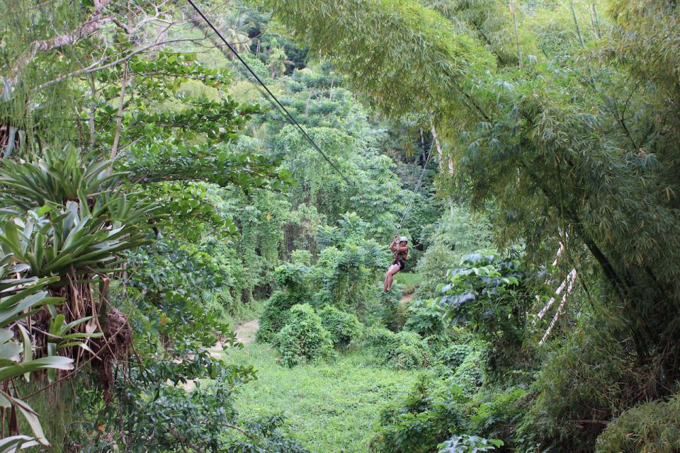 Ocho Rios: White River Jungle Zipline & Blue Hole Experience - Inclusive Round-Trip Transfers