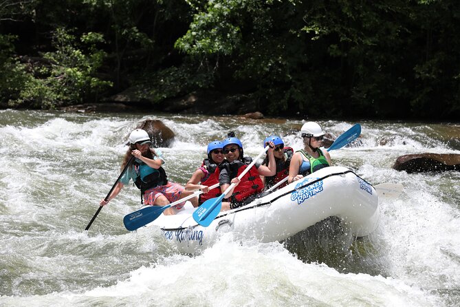 Ocoee River Middle Whitewater Rafting Trip (Most Popular Tour) - Customer Reviews and Insights