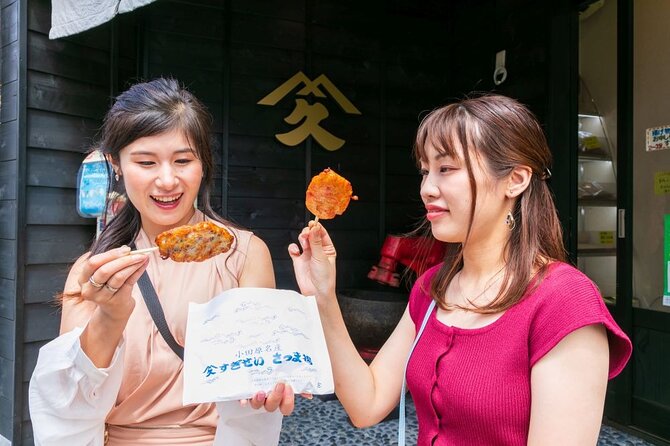 Odawara Castle and Town Guided Discovery Tour - Local Seafood Lunch