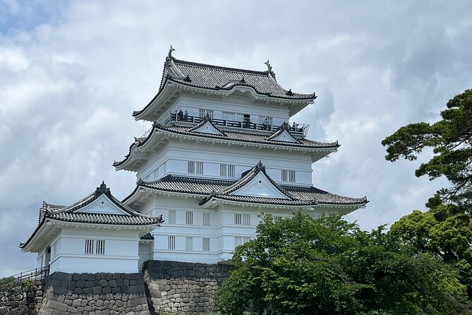 Odawara Castle Sightseeing Tour by Shinkansen - Inclusions