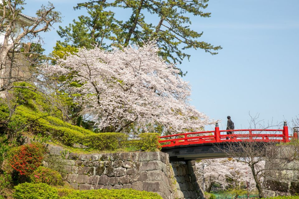 Odawara: Odawara Castle Tenshukaku Entrance Ticket - Exploring the Castles Highest Tower