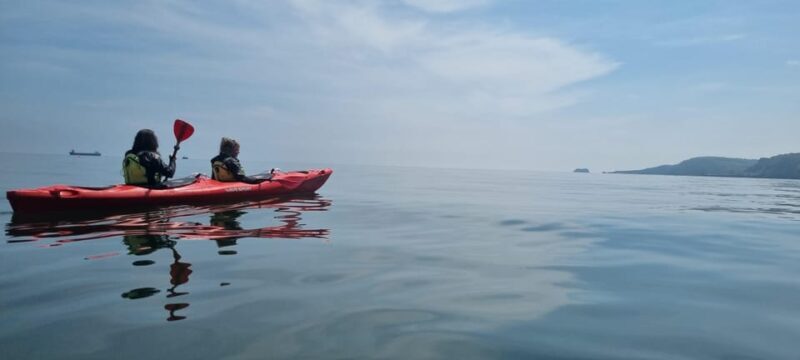 Oddicombe: Wildlife, Bushcraft and Sea Cave Kayak Safari - An Adventure on the Water: What to Expect