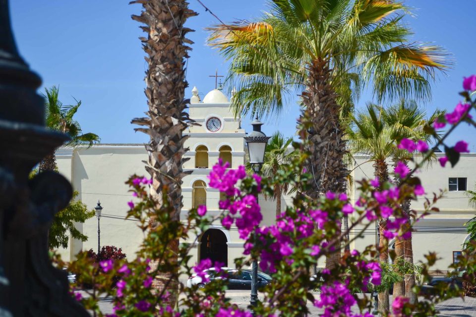 Off-Road Adventure: All-Day Jeep Expedition in Todos Santos - Exploring the Historic Sea Port