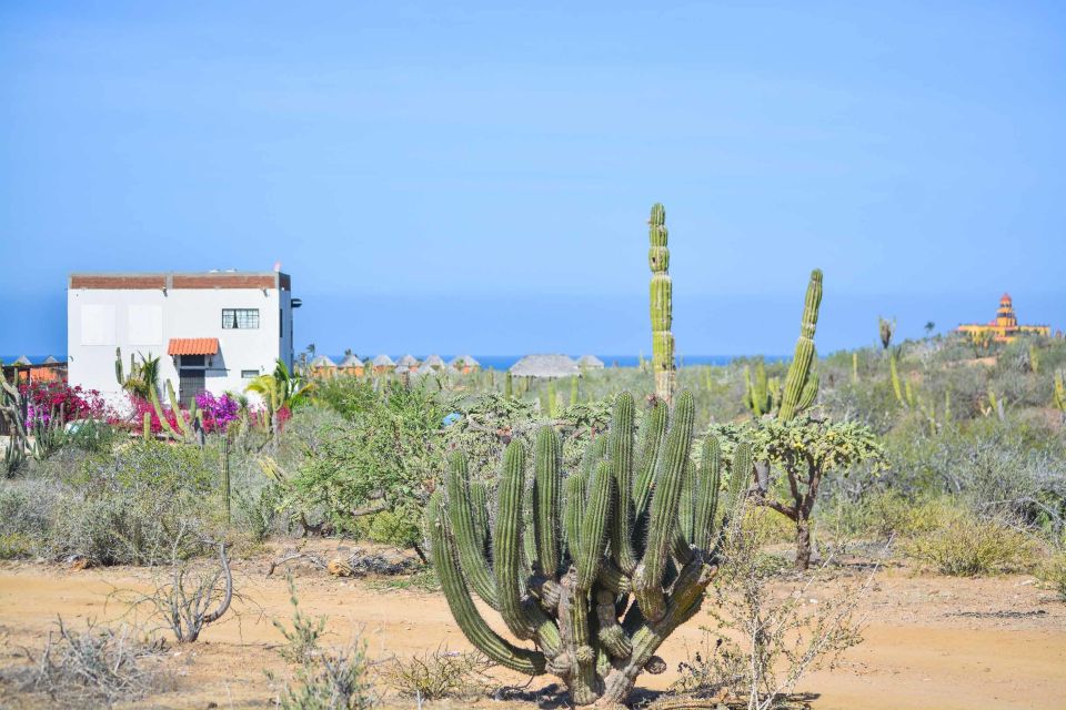 Off-Road Adventure: All-Day Jeep Expedition in Todos Santos - Scenic Dirt Road Driving