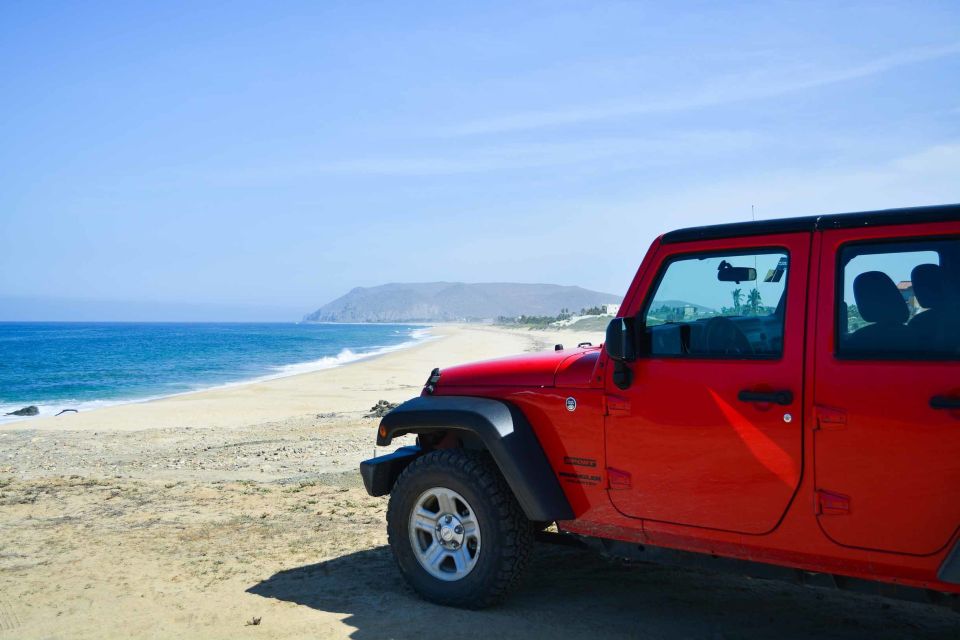 Off-Road Adventure: All-Day Jeep Expedition in Todos Santos - Frequently Asked Questions