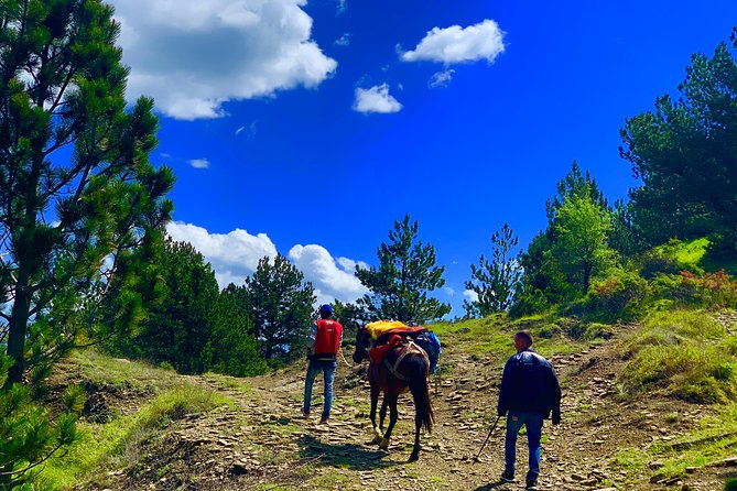 Off Road Albania Tours Osumi Canyon to Vjosa River, Përmet (ARG) - Activity Details