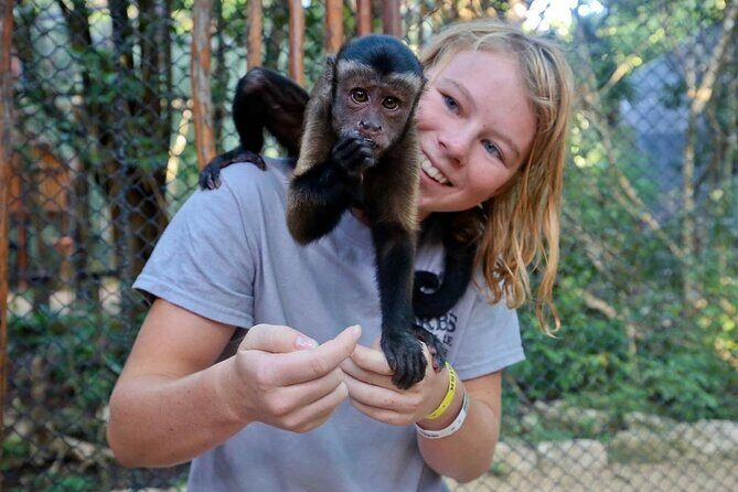 Off Road ATV Cenote Monkeys and Snorkel with Sea Turtles - Key Points