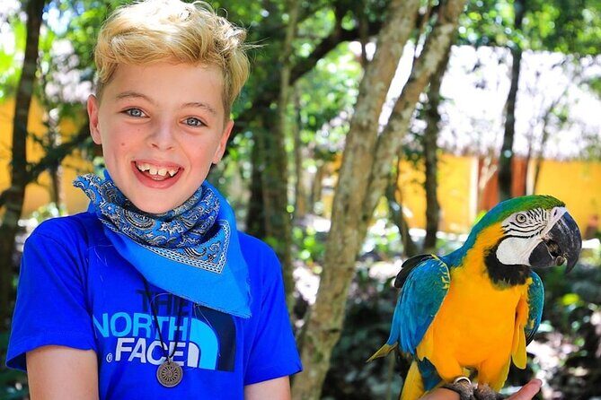 Off Road ATV Cenote Monkeys and Snorkel with Sea Turtles - Final Thoughts