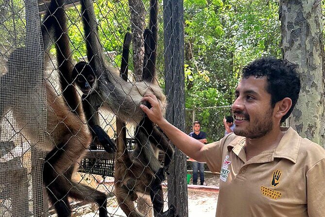 Off Road ATV Cenote Monkeys and Snorkel with Sea Turtles - FAQs