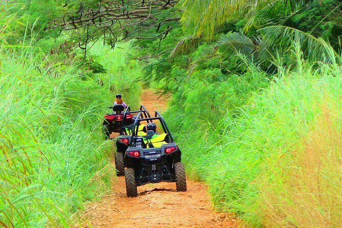 Off Road Buggy Adventure - Key Points