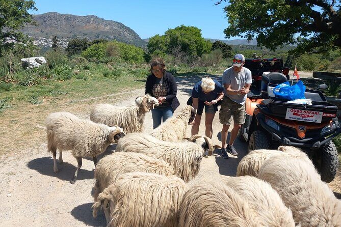 Off-road Buggy Safari in Crete with a Guide - The Overall Experience: What Travelers Are Saying