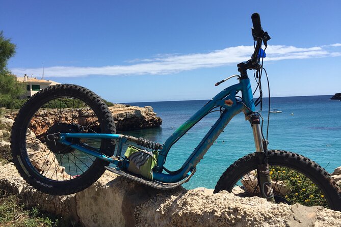 Off Road E-Scooters Adventure North Mallorca - Tour Activities