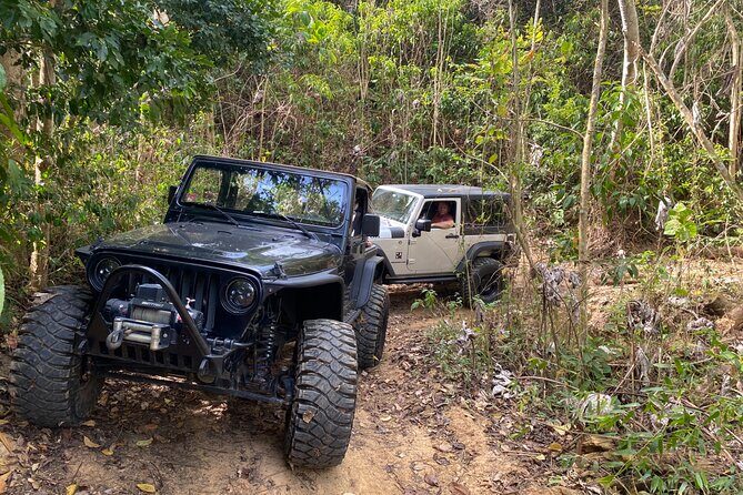 Off-Road Jeep Adventure from Carolina - Authentic Reviews from Travelers