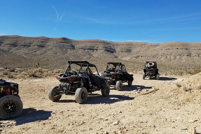 Off Road Mojave Desert Tour in Las Vegas - Customer Reviews