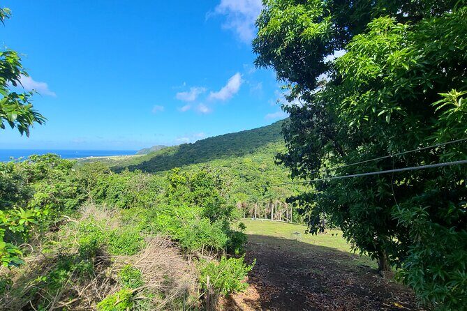 Off Road Rain Forest 4X4 Drive in St. Kitts - The Sum Up: Who Will Love This Tour?