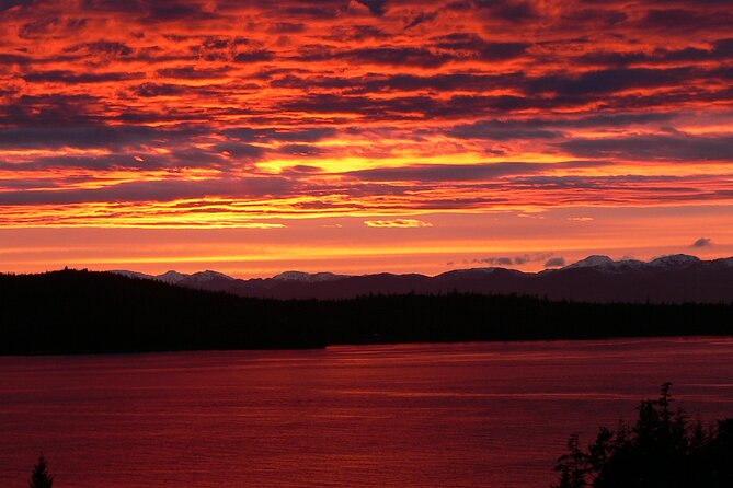 Off the Beaten Path Ketchikan Photo Safari - 3 Hr. - Recap