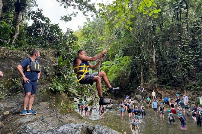 "Off the beaten path" Rain Forest Guided hike with Transportation - The Sum Up