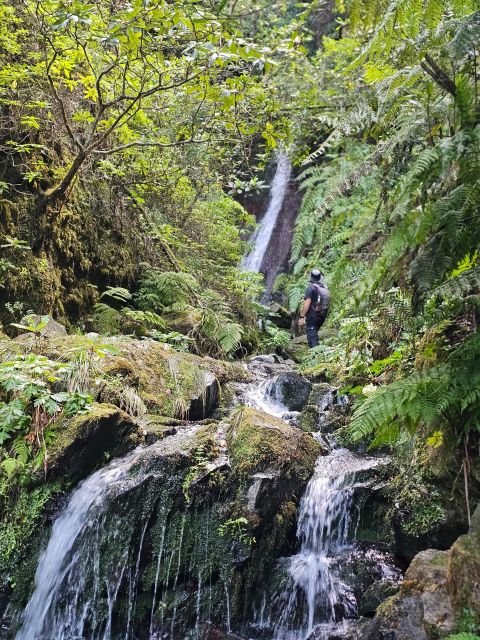 Off the Beaten Path,Levada Do Seixal, Madeira Island - Waterfalls and Biodiversity