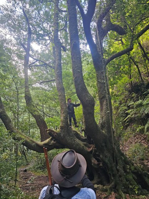 Off the Beaten Path,Levada Do Seixal, Madeira Island - Navigating Tunnels