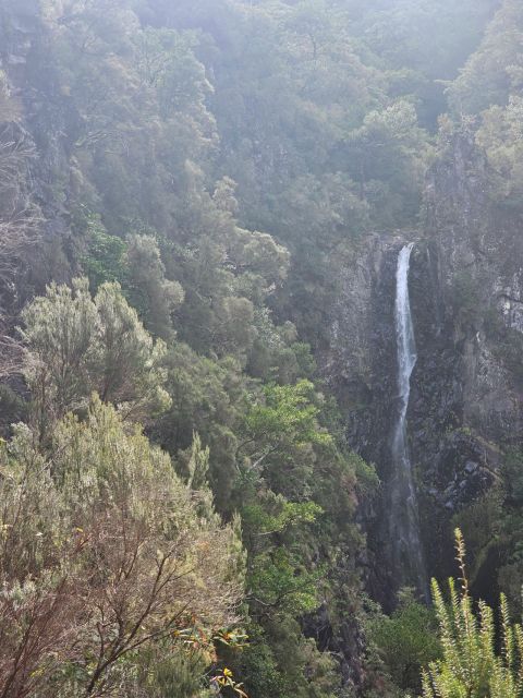 Off the Beaten Path,Levada Do Seixal, Madeira Island - Difficulty and Fitness