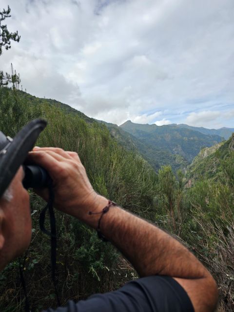 Off the Beaten Path,Levada Do Seixal, Madeira Island - Getting There