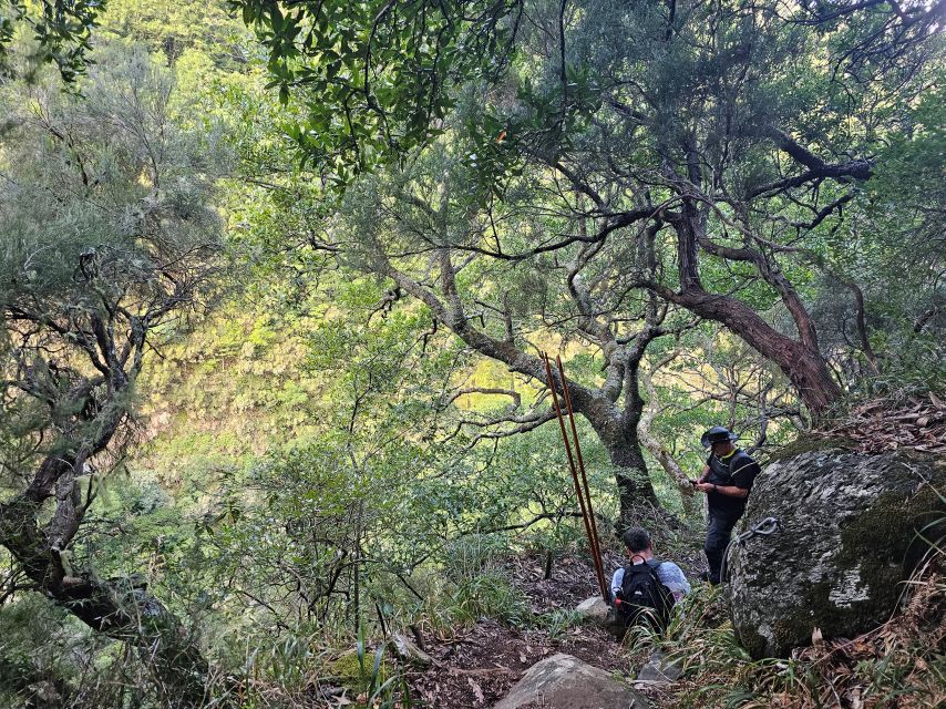 Off the Beaten Path,Levada Do Seixal, Madeira Island - Frequently Asked Questions