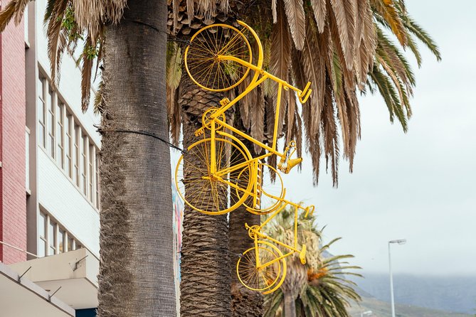 Off the Beaten Track in Cape Town: Private City Tour - Exploring the Woodstock Neighborhood