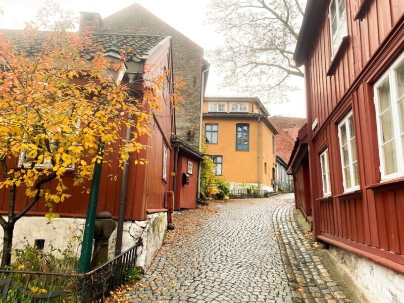 Off the Beaten Track On Foot: Oslos Historic & Trendy East - Who Should Consider This Tour?
