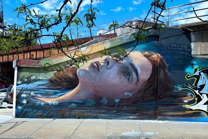 Offbeat Fulton Market Graffiti and Murals Street Art Tour - An Introduction to Chicago’s Unexpected Art Scene