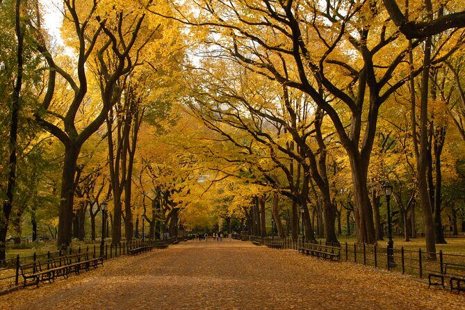 Official Central Park Walking Tour - What Do Travelers Say?