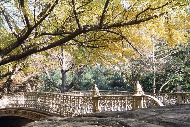 Official Central Park Walking Tour - The Sum Up