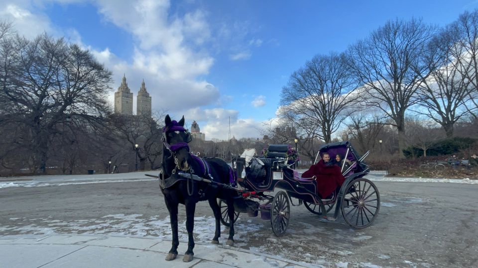 Official Exclusive VIP Horse Carriage Ride in Central Park - Highlights of the Tour