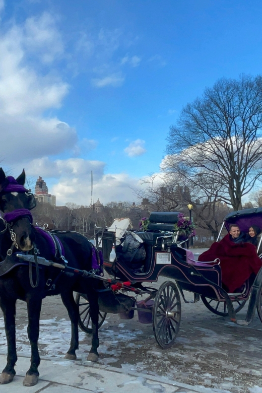 Official Exclusive VIP Horse Carriage Ride in Central Park - Explore Central Parks Gems
