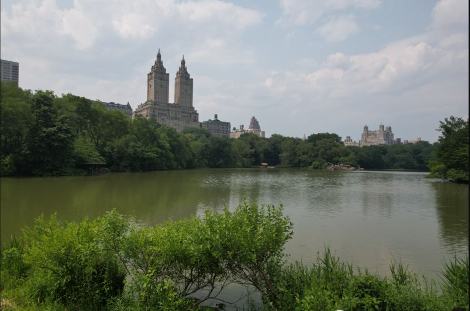 Official VIP Whole Central Park Horse Carriage Tour - Highlights