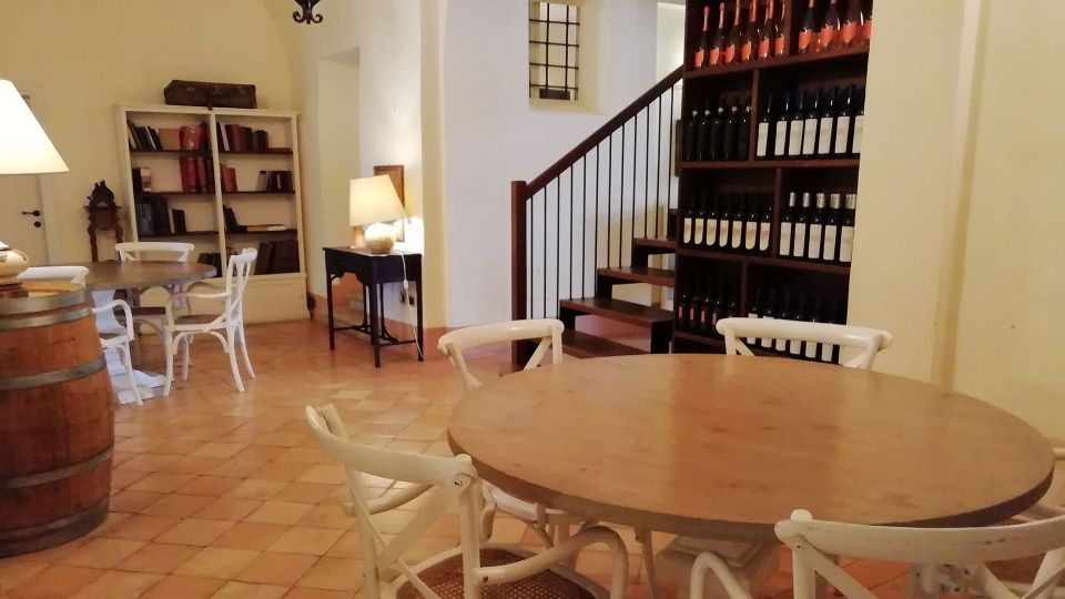 Offida: Village Walking Tour With Wine Tasting - Highlights of the Experience