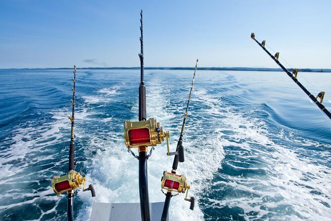 Offshore Fishing - Half Day (Trolling) - Key Points